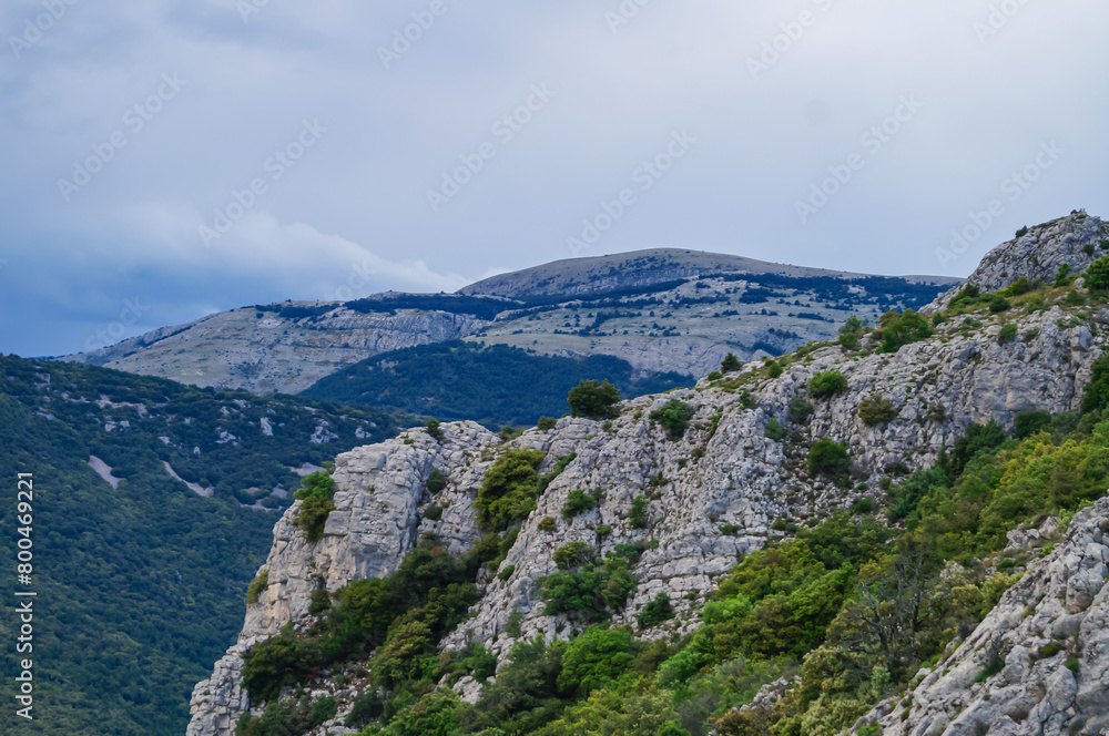Naklejka premium Escragnolles, a village in foothills of the Alps above Grasse, stretches across hillsides below Route Napoléon, facing the Forêt de Briasq. Forest populated with white and. holm oak on shady hillsides