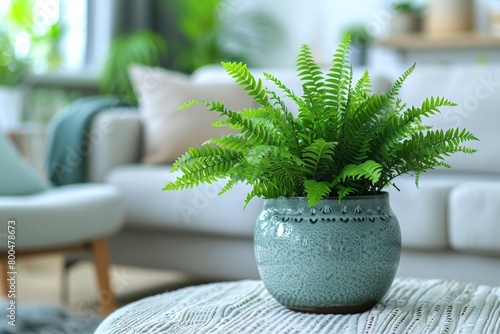 Lush Green Fern Plant in a Stylish Ceramic Pot on a Cozy Home Interior Background