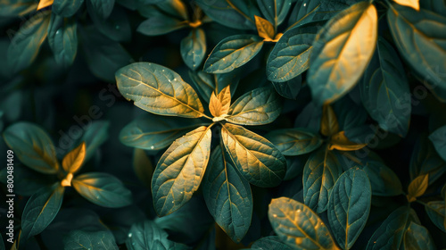 A close up of green leaves with a yellowish tint © ART IS AN EXPLOSION.