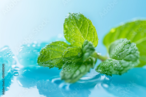 Fresh mint leaves in water gel on blue background