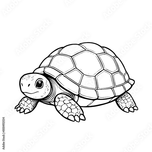 Cute Baby Tortoise Animal Outline, Tortoise Vector Illustration