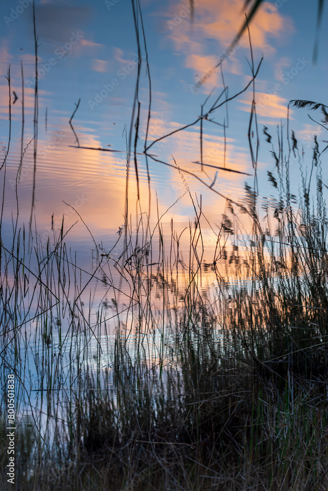 Tranquil reflection of pink clouds on blue sky in water surface