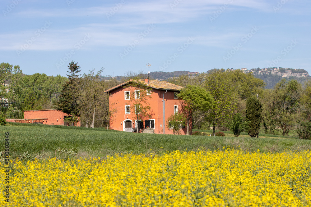 Casa en campo de canola con arboles y un cielo azul
