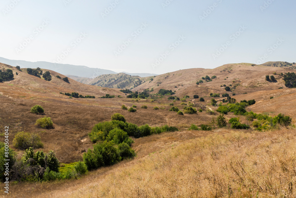 Panoramic view over the valley of the Bane Canyon in the Chino Hills State Park, California