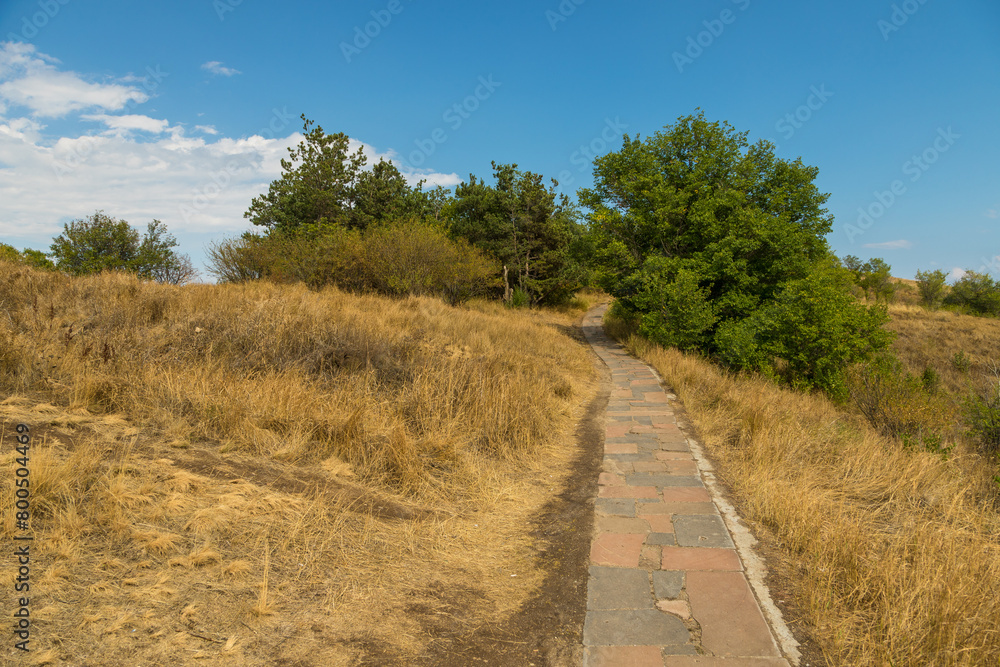 Path among the meadows. Lake Sevan area. Armenia.