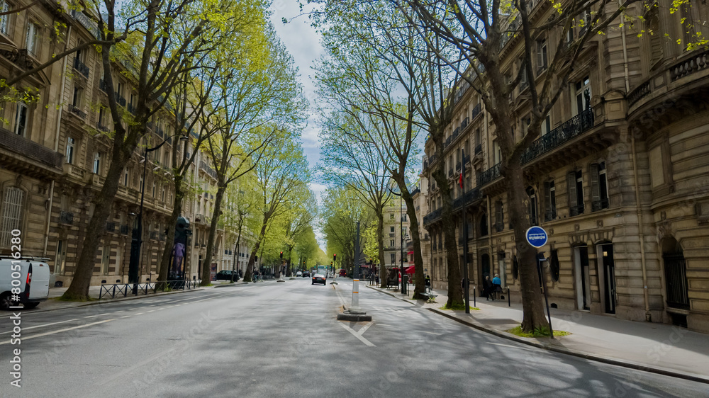 Sunny spring day on a serene, tree-lined Parisian street, with classic architecture, ideal for travel and holiday themes like Easter or European Heritage Days
