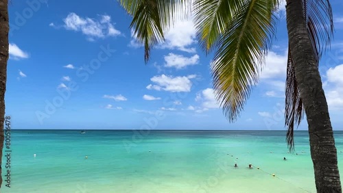 Trou Aux biches beach, Palm leaves dancing in the light wind. Magnificent turquoise blue crystal waters visible through the tropical palm leaves and the endless blue of the Indian ocean. (ID: 800516478)