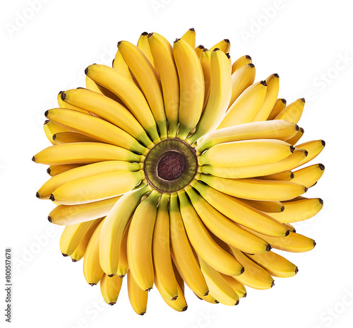 Baby banana in a circle
