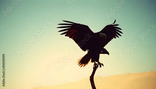Eagle Silhouette Upscaled 55