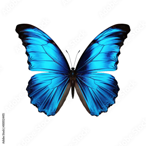 beautiful blue butterfly isolated on a transparent background 