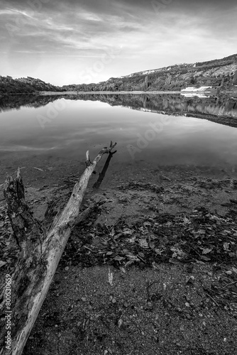 old branch on the shore of the lake and mountain hills reflected in the still lake water. Vertical view