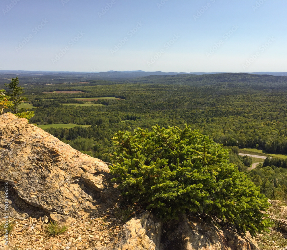 View of the forest of northern Maine from the top of Haystack near Mapleton View of the forest of northern Maine from the top of Haystack near Mapleton