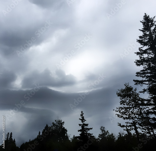 Stormy cloudscape silhouetting pine trees around the frame