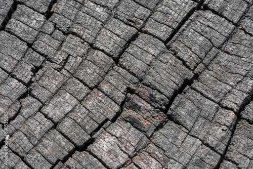 Tableau sur toile Textures with wood bark Macro