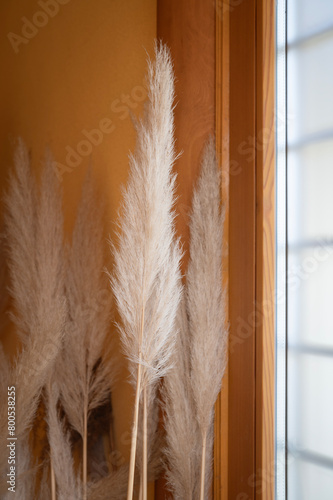 Pampas grass in the home interior. Ornamental plant Cortaderia selloana next to a window in Japanese style.