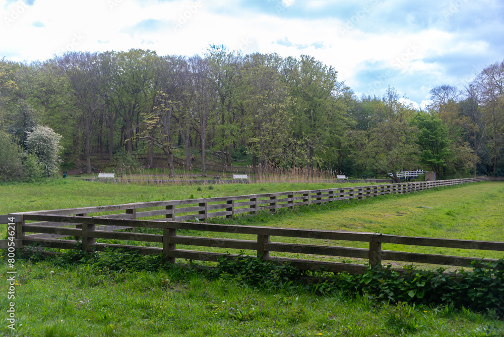 A wooden benches in the Ockenburgh park, The Hague, Netherlands