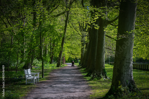 A white park bench in the Ockenburgh park and an elderly person in a wheelchair in the background, The Hague, Netherlands