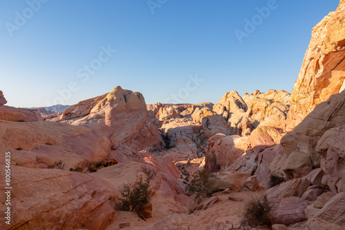 Panoramic sunrise view of arid landscape with striated red and white rock formations along the White Domes Hiking Trail in Valley of Fire State Park in Mojave desert, Overton, Nevada, USA. Road trip