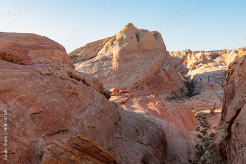 Panoramic sunrise view of arid landscape with striated red and white rock formations along the White Domes Hiking Trail in Valley of Fire State Park in Mojave desert  Overton  Nevada  USA. Road trip