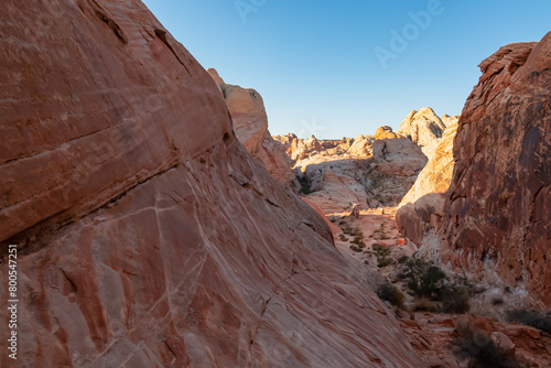 Panoramic sunrise view of arid landscape with striated red and white rock formations along the White Domes Hiking Trail in Valley of Fire State Park in Mojave desert, Overton, Nevada, USA. Road trip © Chris