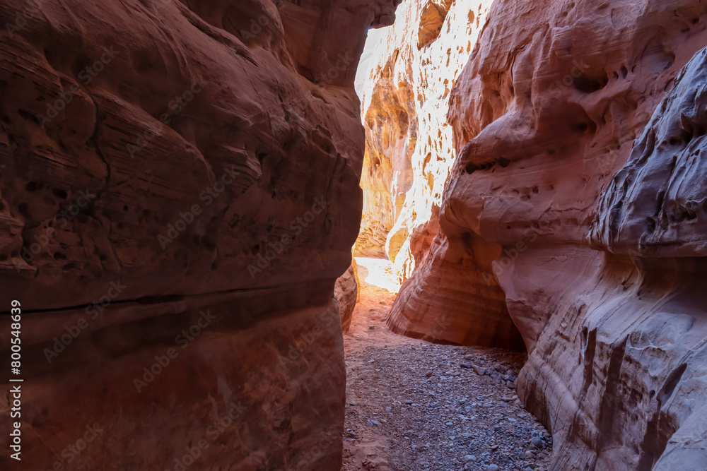 Hike in the narrow Kaolin Wash slot canyon along White Domes Hiking Trail in Valley of Fire State Park in Mojave desert, Nevada, USA. Massive rugged cliffs of striated red and white rock formations Hike in the narrow Kaolin Wash slot canyon along White Domes Hiking Trail in Valley of Fire State Park in Mojave desert, Nevada, USA. Massive rugged cliffs of striated red and white rock formations