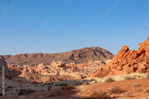 Scenic view of striated red and white Aztek sandstone rock formations in Valley of Fire State Park in Mojave desert, Nevada, USA. Hot temperature in arid landscape on clear summer day. Rainbow vista © Chris
