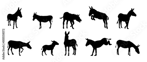 Set of donkey silhouettes. Vector illustration