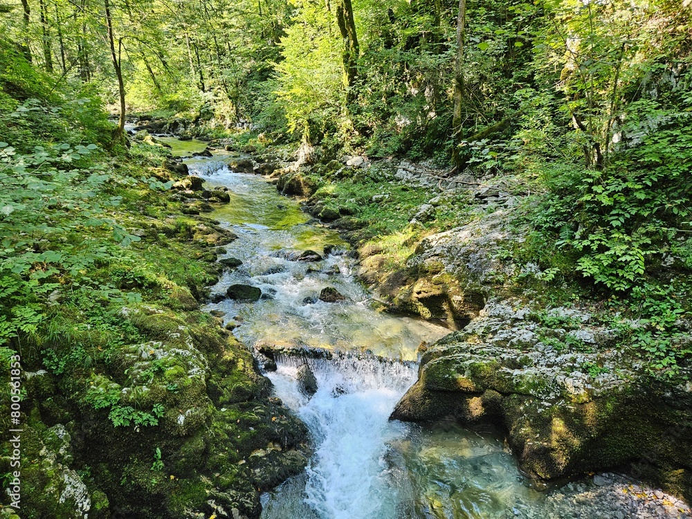 waterfall in the forest waterfall in the forest