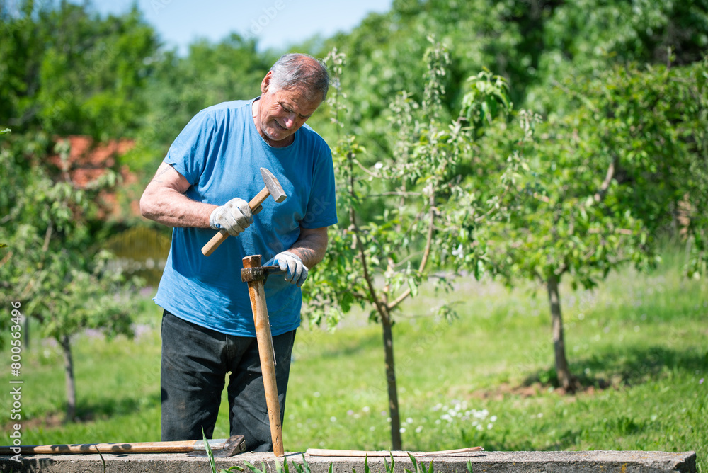 An elderly man is fixing his gardening tool. He is using suitable tools to fix his broken gardening tool.
He is using his gardening tools for spring work in the orchard and wineyard. An elderly man is fixing his gardening tool. He is using suitable tools to fix his broken gardening tool.
He is using his gardening tools for spring work in the orchard and wineyard.