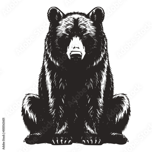 Wild bear animal silhouette animal wild wildlife nature logo