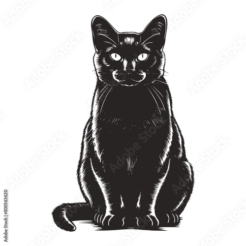 Black cat silhouette animal wild wildlife nature logo