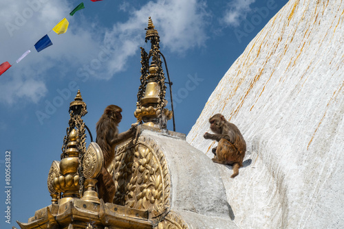 Swayambhunath Temple (Monkey Temple), Kathmandu, Nepal photo