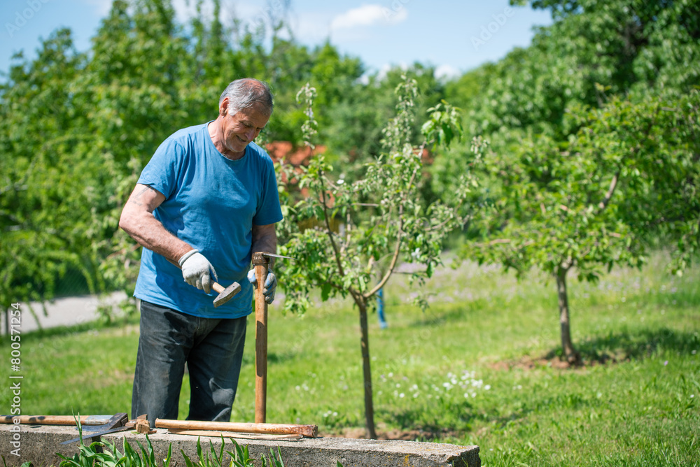 Fototapeta premium An elderly man is fixing his gardening tool. He is using suitable tools to fix his broken gardening tool. He is using his gardening tools for spring work in the orchard and wineyard.