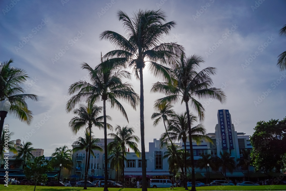 Scenic view from Oceans Drive on the silhouette of the tropical palm trees in Miami downtown during sunset, Florida, USA. Exotic trees in the foreground creating calm, relaxed and tranquil atmosphere