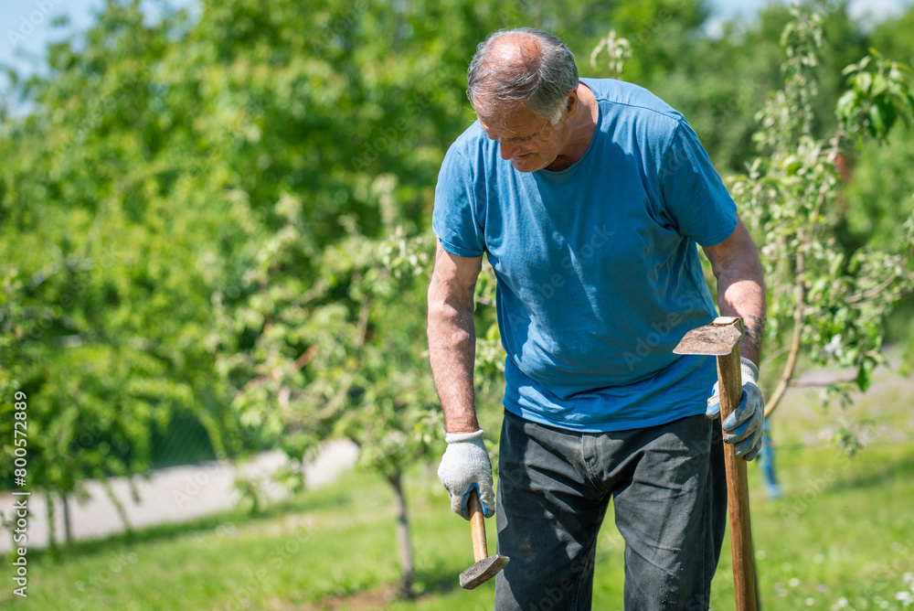 An elderly man is fixing his gardening tool. He is using suitable tools to fix his broken gardening tool.
He is using his gardening tools for spring work in the orchard and wineyard. An elderly man is fixing his gardening tool. He is using suitable tools to fix his broken gardening tool.
He is using his gardening tools for spring work in the orchard and wineyard.