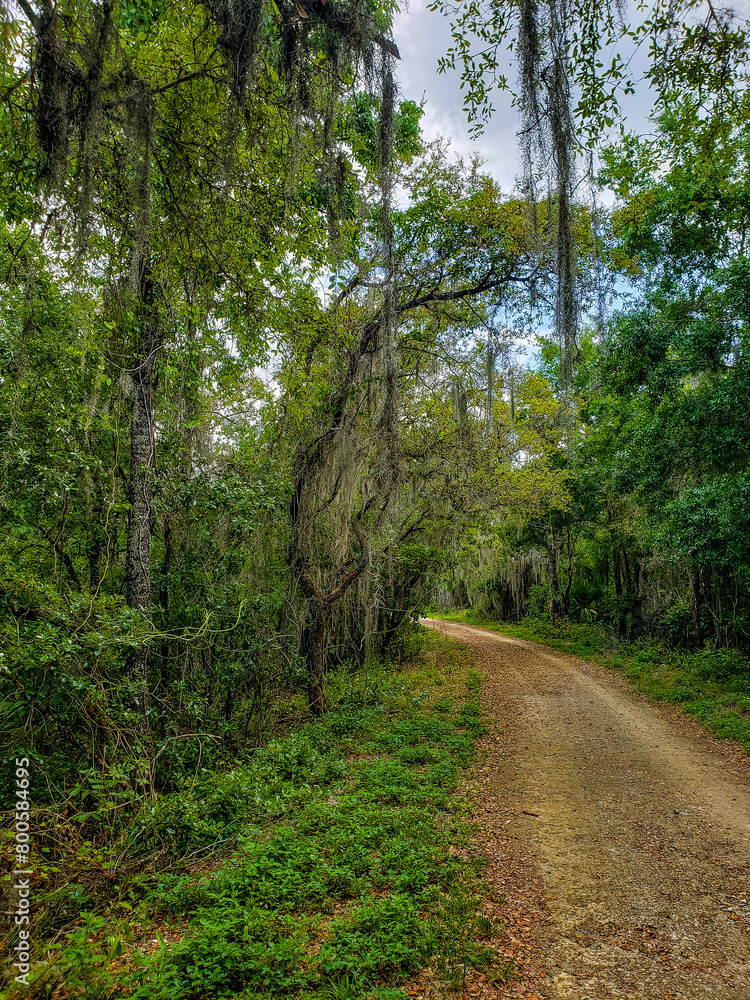 Views Seen from the Lake Apopka Loop Trail, Florida Views Seen from the Lake Apopka Loop Trail, Florida