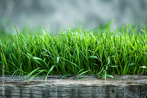 Vibrant Green Grass Blades on Weathered Wooden Surface © VanDesigns
