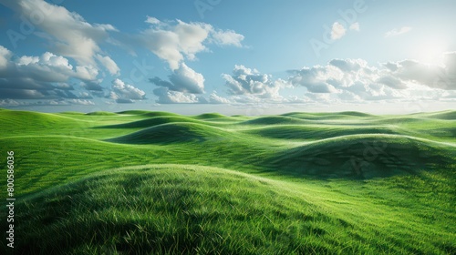 meadow lush green wallpaper, realistic and vivid 