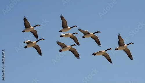 A Flock Of Geese Flying In Formation Upscaled 4