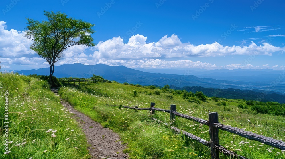 A captivating scene featuring a winding path along a hill with vivid green grass against a backdrop with fluffy clouds