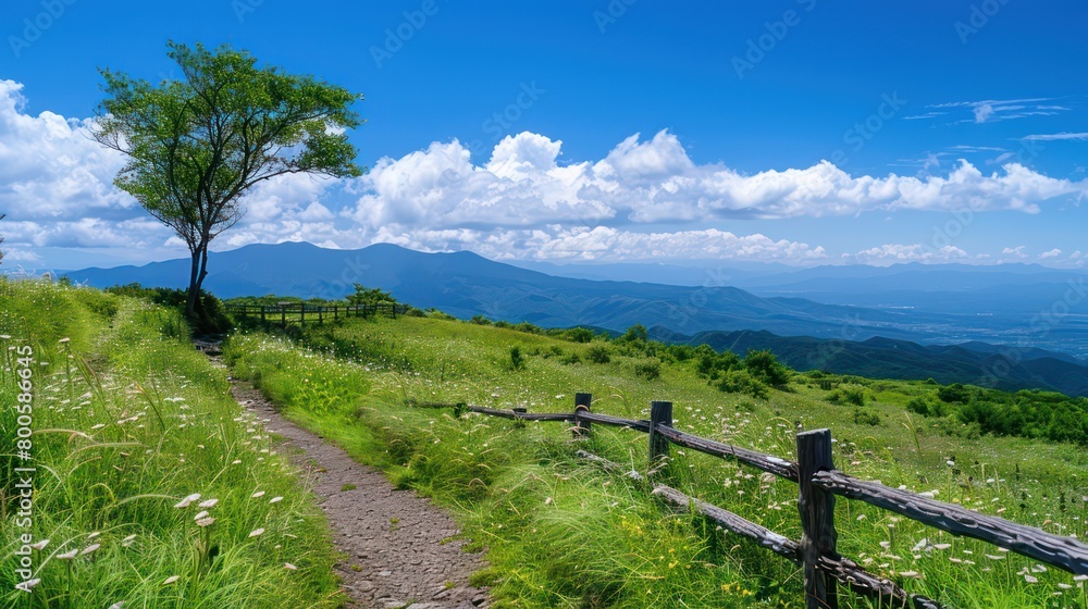 A captivating scene featuring a winding path along a hill with vivid green grass against a backdrop with fluffy clouds A captivating scene featuring a winding path along a hill with vivid green grass against a backdrop with fluffy clouds