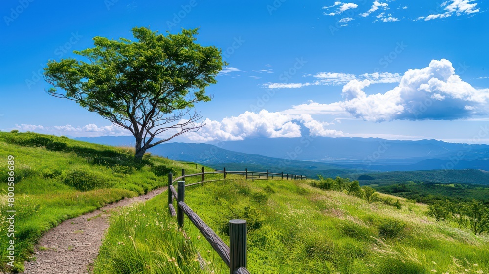 An isolated tree stands on a vibrant grassy hill with mountains in the distance, emphasizing solitude in nature