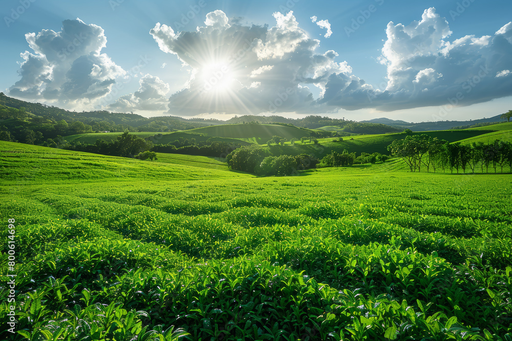 A serene countryside landscape featuring farms cultivating algae for biofuel production. Concept of alternative bioenergy sources. Generative Ai. A serene countryside landscape featuring farms cultivating algae for biofuel production. Concept of alternative bioenergy sources. Generative Ai.