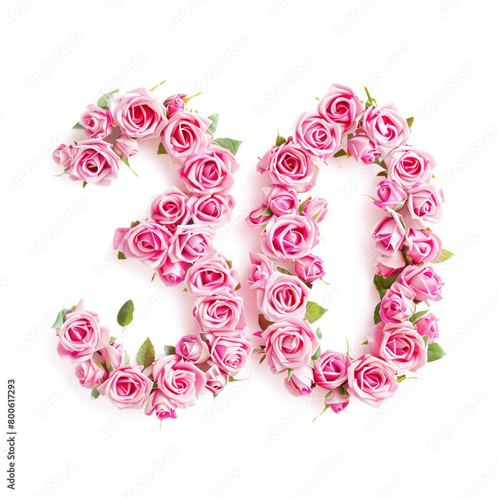 Number 30 Made of Pink Roses Isolated on White Background