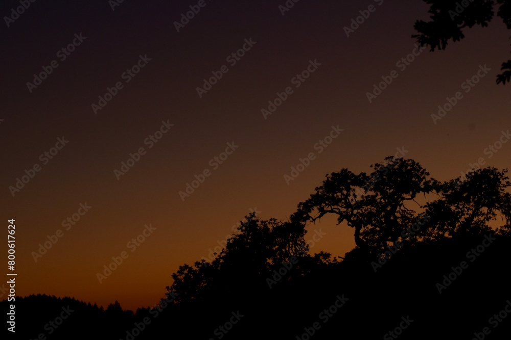 Obraz premium sunset in the nature