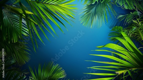 A close up of a leafy green forest with a blue sky in the background. Concept of tranquility and serenity  as the lush green leaves and clear blue sky create a peaceful and calming atmosphere