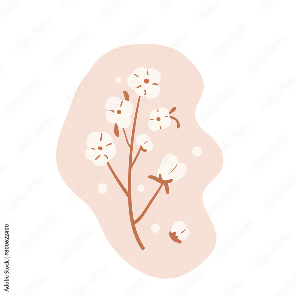 Cotton branch and flowers composition isolated on white background. Purity, innocence, and new beginnings symbol. Vector hand drawn illustration Cotton branch and flowers composition isolated on white background. Purity, innocence, and new beginnings symbol. Vector hand drawn illustration