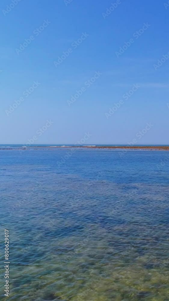 aerial view of a beach and ocean with surfers having fun on a bright summer day - vertical video for story and reel aerial view of a beach and ocean with surfers having fun on a bright summer day - vertical video for story and reel