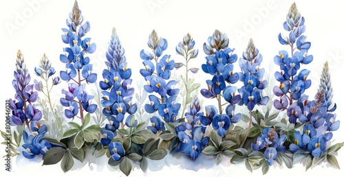 illustrated watercolor bluebonnets and other texas wildflowers on a white background
