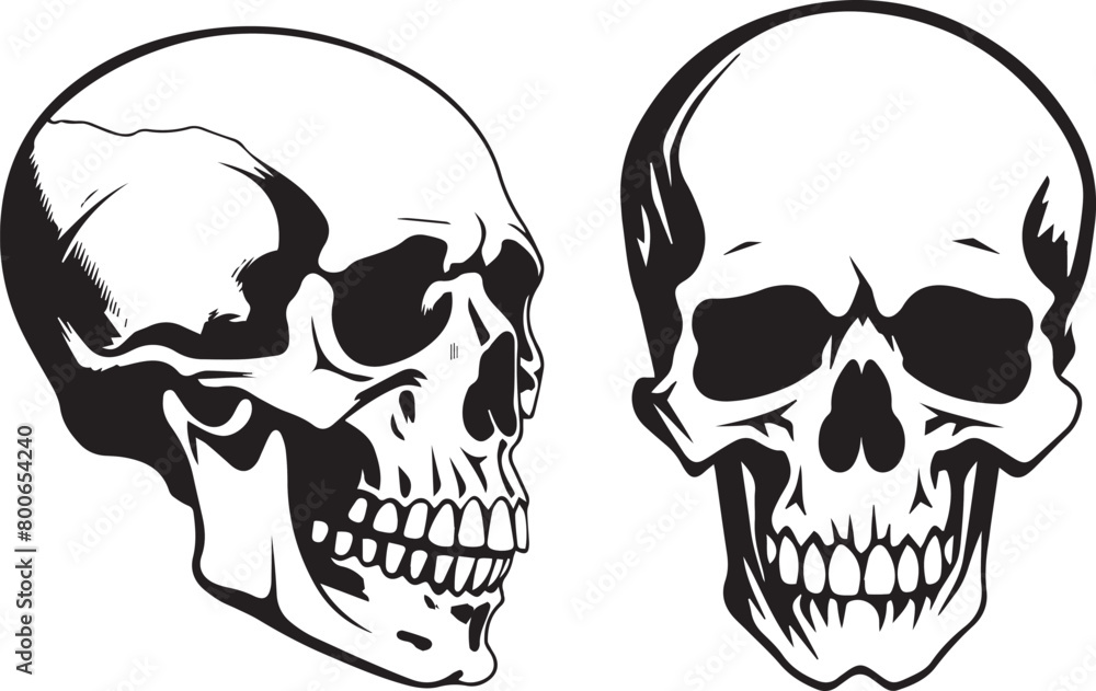 Skull Vector Set Skull Vector Set